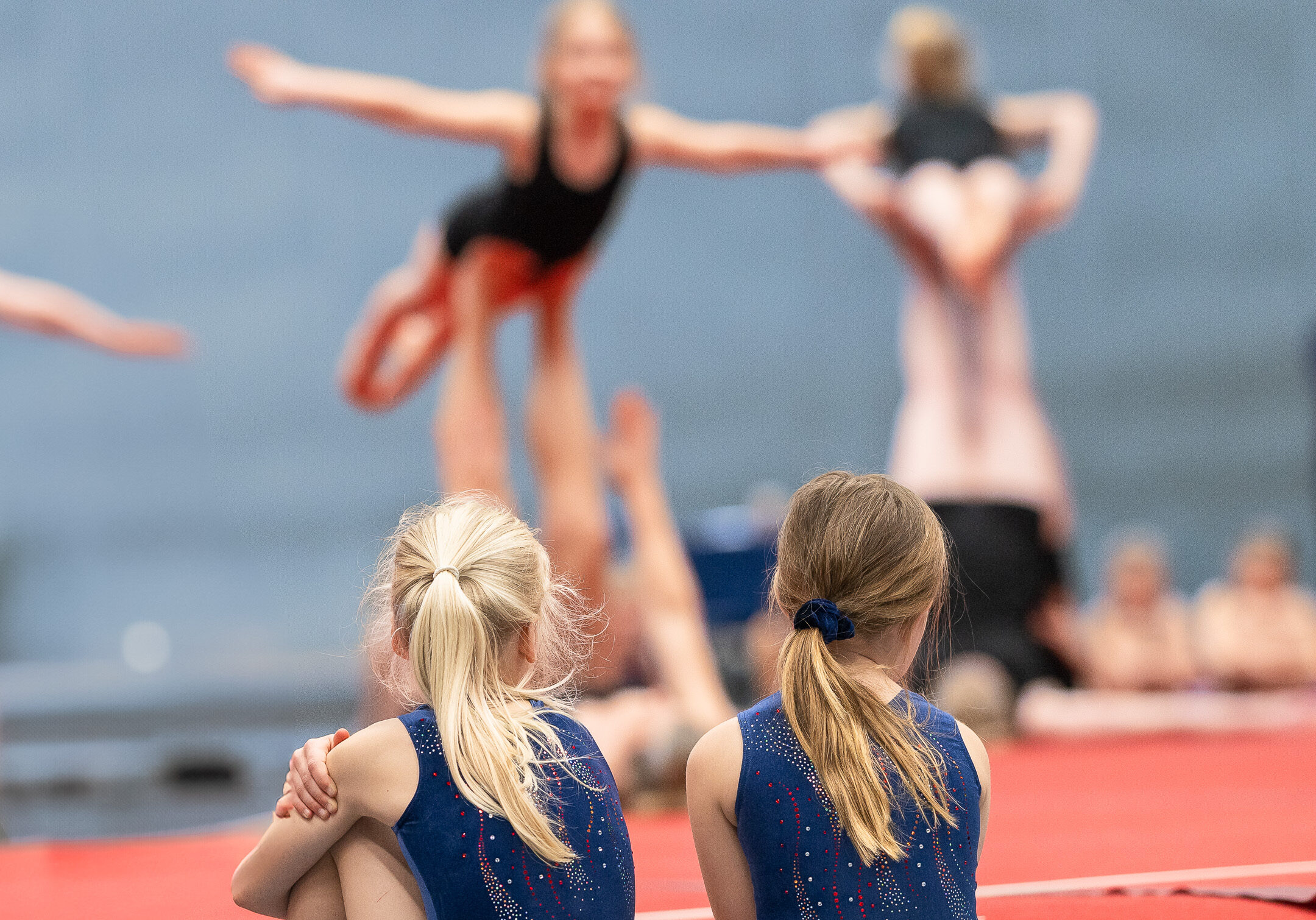 DSC_5687_V2 DSC_5687_V2