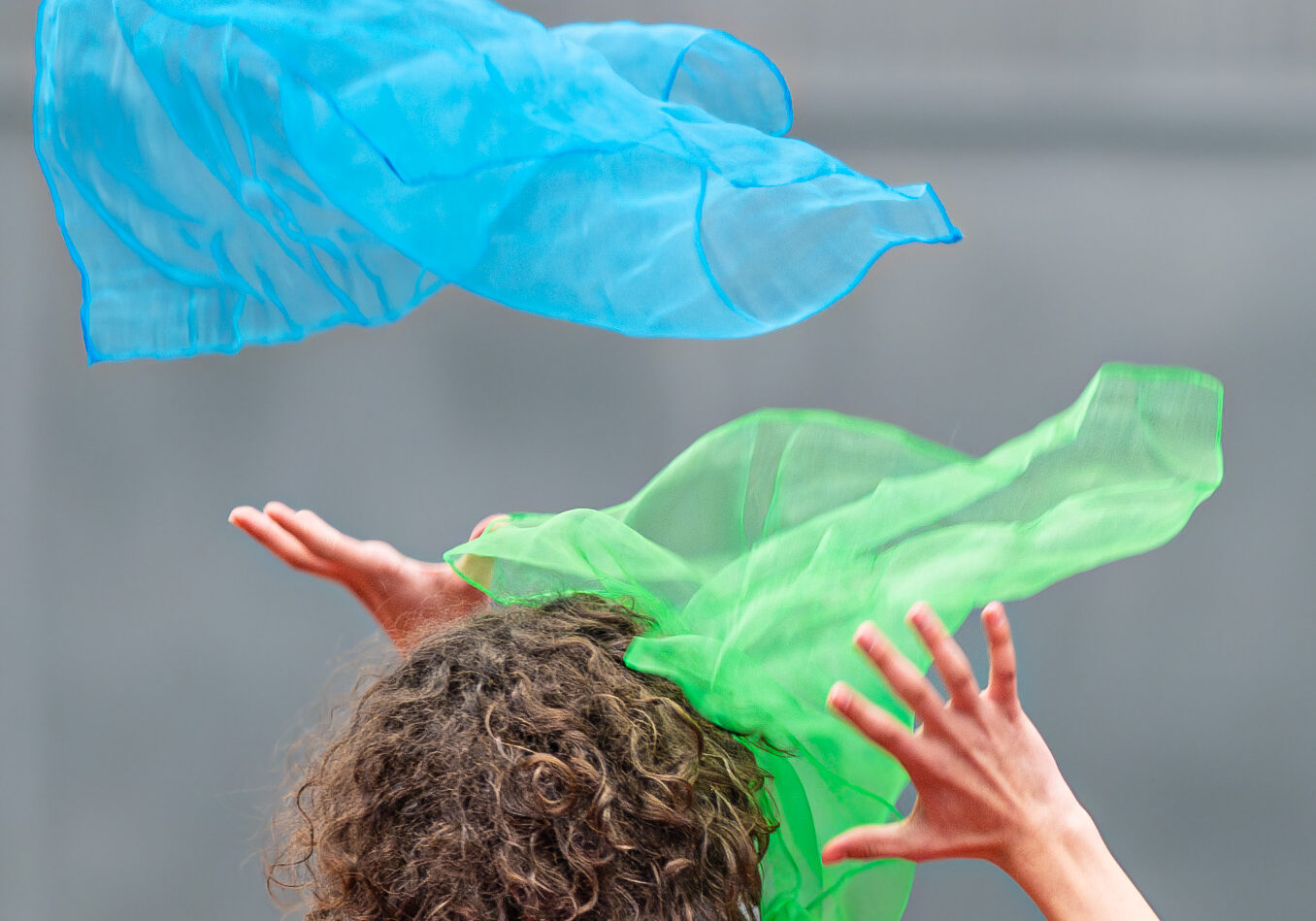 DSC_5852-Enhanced-NR_V1 DSC_5852-Enhanced-NR_V1